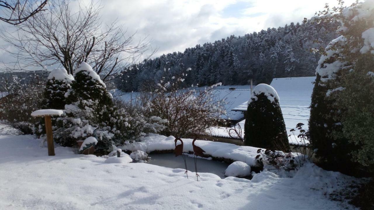 Apartment Mit Gartenblick Eckersdorf Buitenkant foto
